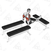 Animated demonstration of weighted three bench dips
