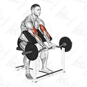 Dimostrazione animata di Curl da panca Scott inclinato con presa stretta con barra EZ