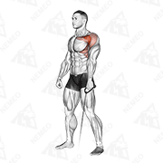 Animated demonstration of cable forward raise