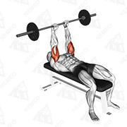 Animated demonstration of barbell lying triceps extension