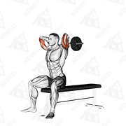 Démonstration animée de l’exercice Barre EZ extension triceps assis