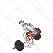 Animated demonstration of barbell deadlift