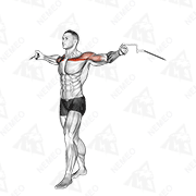 Animated demonstration of cable upper chest crossovers