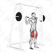 Animated demonstration of smith squat