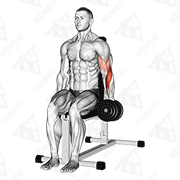 Dimostrazione animata di Hammer Curl a un braccio con manubri da seduti
