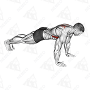 Demostración animada de Flexiones escapulares