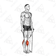Animated demonstration of band two legs calf raise - (band under both legs) v. 2
