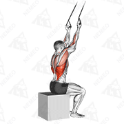 Animated demonstration of band underhand pulldown