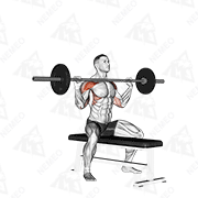 Animated demonstration of barbell seated overhead press