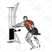 Animated demonstration of cable decline seated wide-grip row