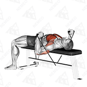 Animated demonstration of band bench press