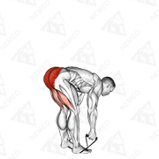Animated demonstration of band stiff leg deadlift