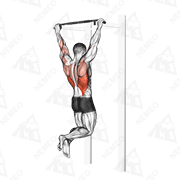 Animated demonstration of pull-up