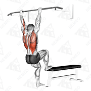 Animated demonstration of bench pull-ups