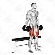 Démonstration animée de l’exercice Squat avec haltère sur banc (box squat)