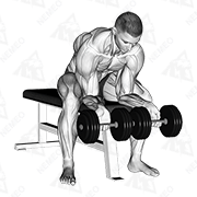Dimostrazione animata di Flessione del polso con manubri supinati (Wrist Curl)