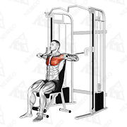 Animated demonstration of cable seated chest press