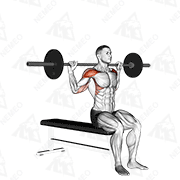 Animated demonstration of barbell seated behind head military press