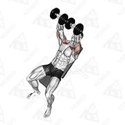 Animated demonstration of dumbbell incline bench press