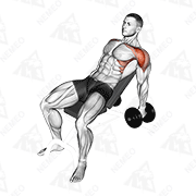 Animated demonstration of dumbbell incline raise