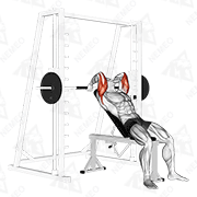 Dimostrazione animata di Estensioni per tricipiti della Smith Machine inclinata