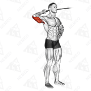 Animated demonstration of band side triceps extension