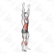Animated demonstration of two toe touch (male)