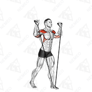 Animated demonstration of band shoulder press