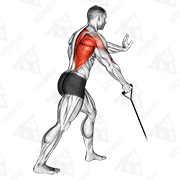 Animated demonstration of band one arm standing low row - lateral variation