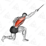 Animated demonstration of band kneeling one arm pulldown