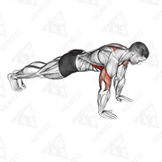 Animated demonstration of push-up plus