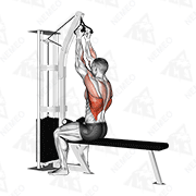 Animated demonstration of cable seated high row (v-bar)