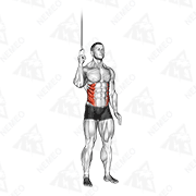 Animated demonstration of cable side crunch
