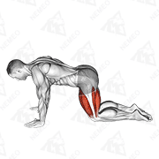 Animated demonstration of all fours squad stretch