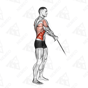 Animated demonstration of cable standing lift