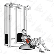 Animated demonstration of cable side bend crunch (bosu ball)