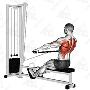 Animated demonstration of cable seated wide-grip row