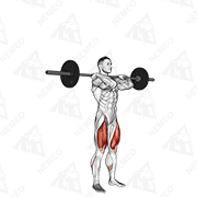 Animated demonstration of barbell clean-grip front squat