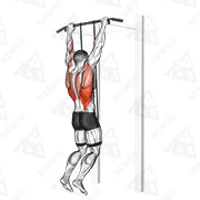 Animated demonstration of band assisted pull-up