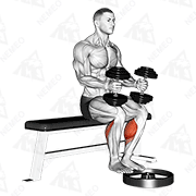 Animated demonstration of dumbbell seated calf raise