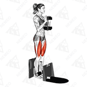 Animated demonstration of dumbbell supported squat