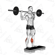 Animated demonstration of barbell standing leg calf raise