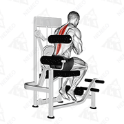Animated demonstration of lever back extension