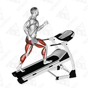 Animated demonstration of walking on incline treadmill