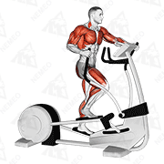 Animated demonstration of walk elliptical cross trainer