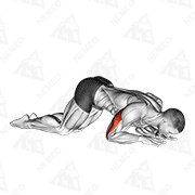 Animated demonstration of bodyweight kneeling triceps extension