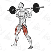 Animated demonstration of barbell wide squat