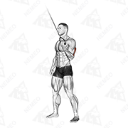 Démonstration animée de l’exercice Extensions triceps debout à un bras (supination)