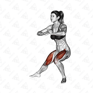 Dimostrazione animata di Affondi laterali (enfasi sullo stretching)