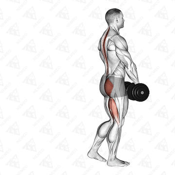 Animated demonstration of Dumbbell single-leg deadlift